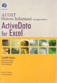 Image of Audit Sistem Informasi menggunakan Active Data for Excel